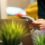 How Direct Mail Automation Can Transform Your Marketing Strategy